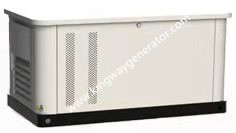 House Use 5.5KW Natural Gas Generator Three Phase Customized