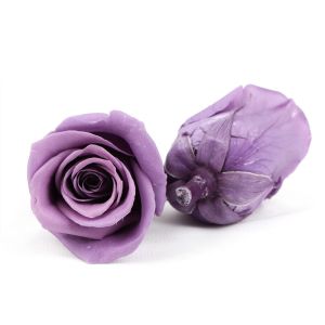 Buy cheap 6pcs Long Lasting Diameter 5-6cm Preserved Flower Heads from wholesalers