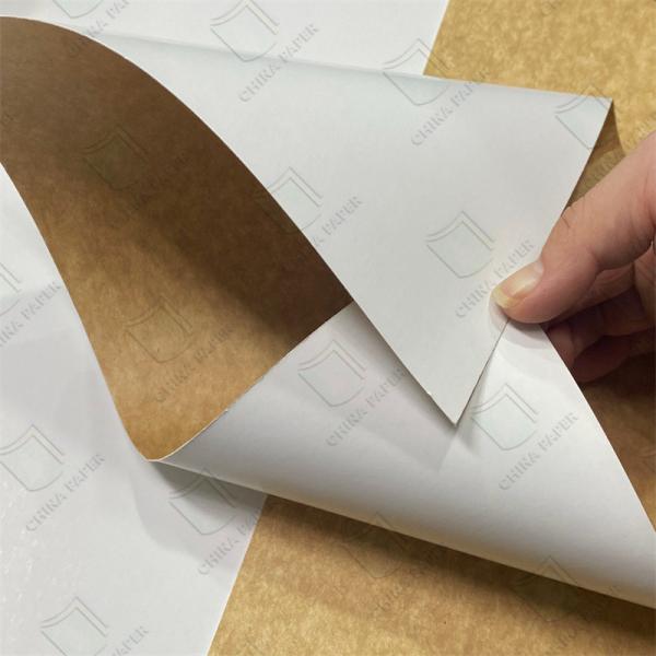 Buy cheap Ckb PE Coated Paper Jumbo Rolls 200gsm-350gsm Substance from wholesalers