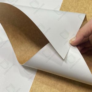 Buy cheap Ckb PE Coated Paper Jumbo Rolls 200gsm-350gsm Substance from wholesalers