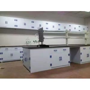 Customizable lab island bench designed to meet modern requirements