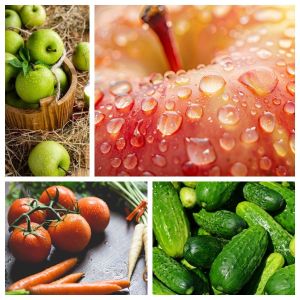 Spinach Parsley Lettuce Ginger Tomato Carrot Bubble Washing Machine with Online