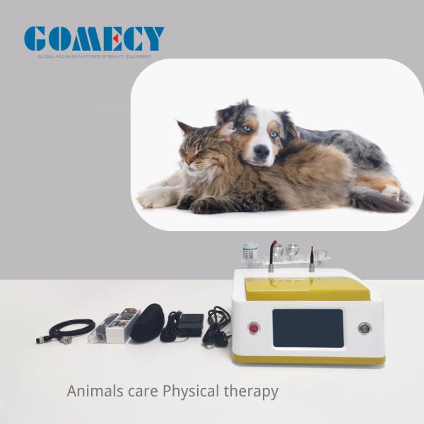 980Nm 15W Diode Laser Animal Veterinary Pet Laser Physiotherapy Instrument for