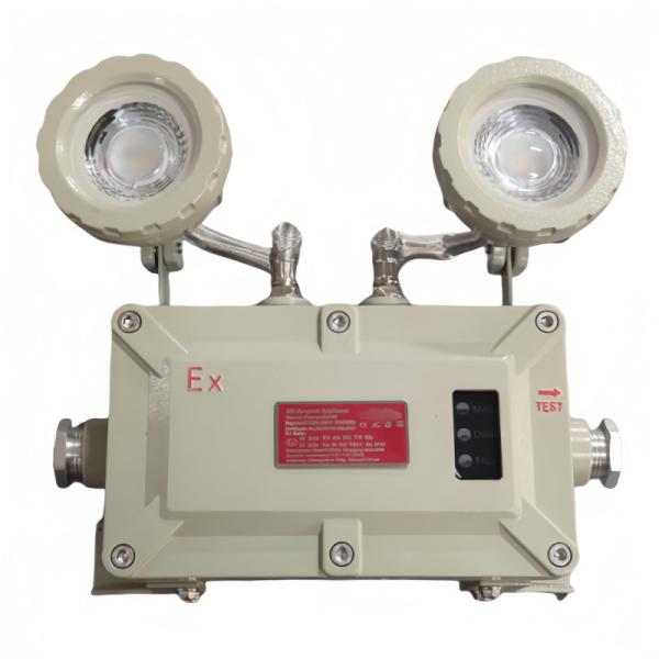 90-300VAC 24/36VDC Voltage Explosion Proof LED Flood Light with ATEX CNEX CERoHS