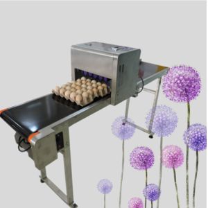 Buy cheap Multifunction Egg Inkjet Coding Machine For Food Package With Safty Edible Ink from wholesalers