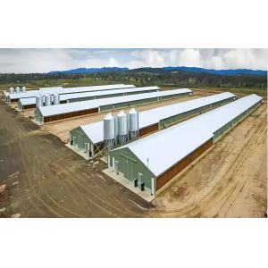 Buy cheap Steel Frame Poultry Shed for 10000 Chickens - Q235/Q355 H Section Structure from wholesalers