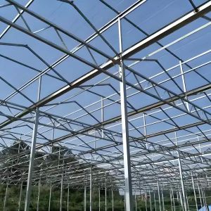 Buy cheap Polycarbonate Greenhouse for Strawberry Substrate Culture Customized from wholesalers