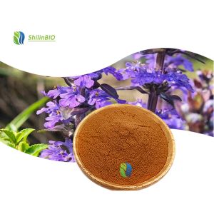 Ajuga Turkestanica Extract (turkesterone)