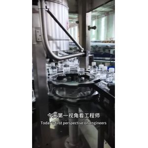 Stainless Steel 304 Hot Melt Glue Labeler with Self-Labeling and Self-Testing
