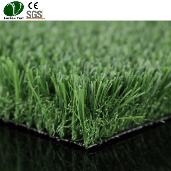 Quality Anti Ultraviolet Plastic Lawn Grass Good Memory Performance Long Service Life for sale