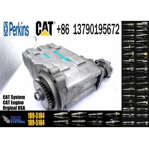 Diesel Fuel Injection Pump 189-5184 254-4357 for CAT C7 C9 Excavator E330D E336D