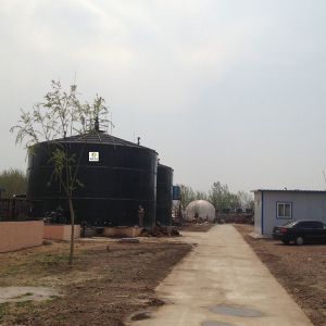 Buy cheap N2O Small Biogas Plant Project Methane Biogas Storage Balloon from wholesalers
