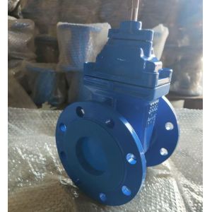 Customized Ductile Cast Iron Gate Valve With Rubber Seat Parallel Slide for