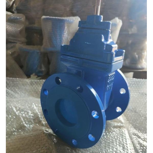 Customized Ductile Cast Iron Gate Valve With Rubber Seat Parallel Slide for
