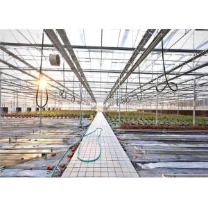 Buy cheap 3 - 5m Gutter Height Hydroponic Greenhouse Great Heat Retaining Property product