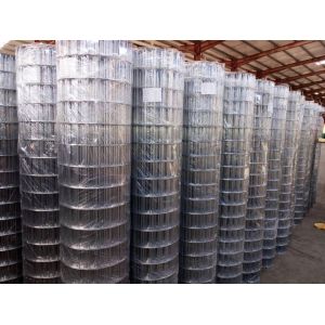 Buy cheap Hot Dipped Galvanized Welded Wire Mesh 1'x1', 1/2'x1/2', 50x50mm,60x60mm for Fence from wholesalers