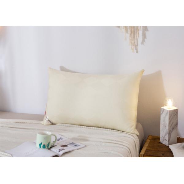 Buy cheap 48*74cm Hypoallergenic Cotton Down Pillows from wholesalers