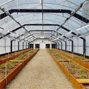 Buy cheap 8x16m Agricultural Blackout Transmission Hothouse Automatic High Tunnel Greenhouse from wholesalers
