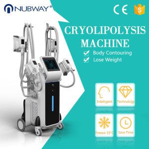 Buy cheap Hot sale CE approved weight loss newest cool tech fat freezing slimming machine four cryo handles ! from wholesalers