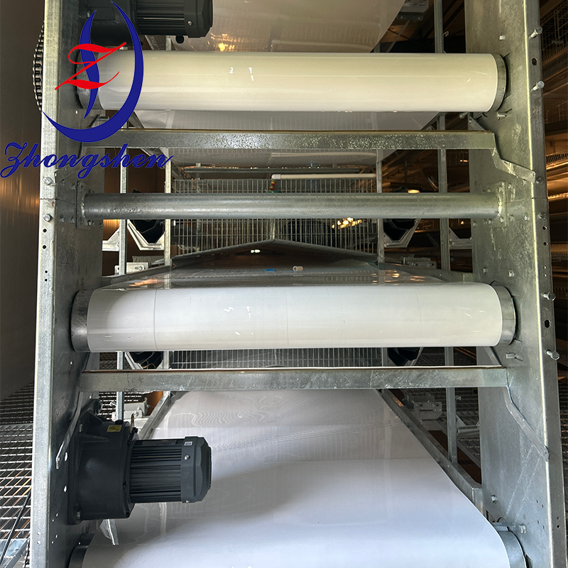 Buy cheap Customization Poultry PP/PE Manure Removal Belts from Zhongshen from wholesalers