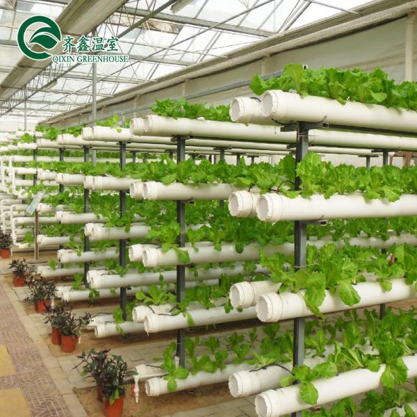 Quality Complete Hydroponic Grow Tent for Indoor Growing of Vegetables Fruits Flowers and Tomatoes for sale