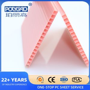 Hollow PC Polycarbonate Plastic Hollow Cross Section Roof Roofing Sheet