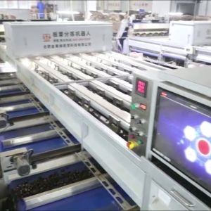 Buy cheap Experience Enhanced Efficiency with Our AI Powered, High Capacity, 304 Stainless Steel Chestnut Sorting Machine Featuring 8 Lanes + 8 Outlets for Optimized Processing. from wholesalers