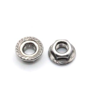 Stock ISO GB Standard M2-M30 SUS304 Stainless Steel DIN6923 Hex Flange Nuts for