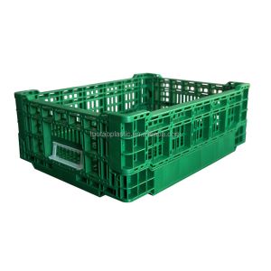 Foldable PP Mesh Crate Box Design for Convenient Storage of Fruits and