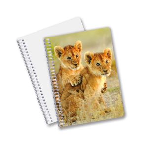 Factory Custom B5 A5 A6 3d Printing Lenticular Notebook Cute Spiral Student