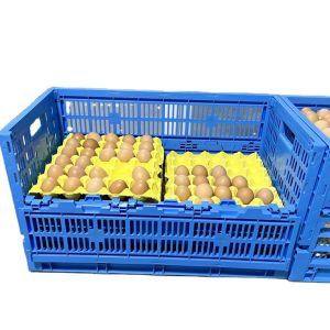 Farm Storage Solution PP Egg Plastic Crate with 8/12/14 Trays Mesh Box Style
