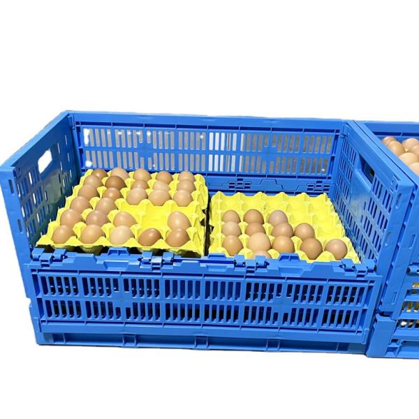Buy cheap Farm Storage Solution PP Egg Plastic Crate with 8/12/14 Trays Mesh Box Style Customized from wholesalers