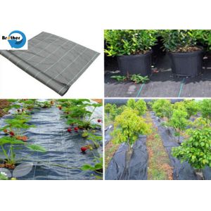 Buy cheap PP Weed Cloth Ground Cover Weed Control Mat, New Material or Recycled Weed Barrier Mat, Plastic Fabric for Garden from wholesalers