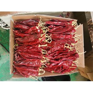 Buy cheap 19cm Smooth Texture Sweet Paprika Pepper Single Herbs Spices from wholesalers