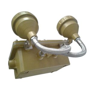 Industrial Two Heads Explosion Proof Emergency Lighting With Impact Resistance