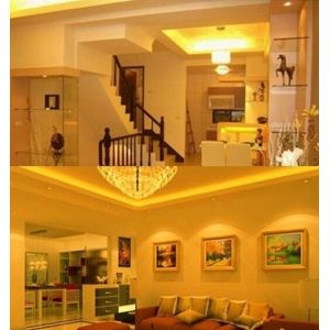 SMD 5050 60LED/M 110V 14.4W/M Yellow LED strip light