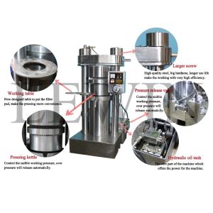 Buy cheap Simple Operation Cold Oil Extractor Machine Coconut Oil Processing With Solid Piston from wholesalers
