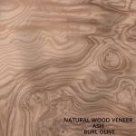 Buy cheap Unusual Natural White Ash Wood Veneer Burl Olive AA Grade For Wall Covering Thickness 0.5mm China Manufacturer from wholesalers