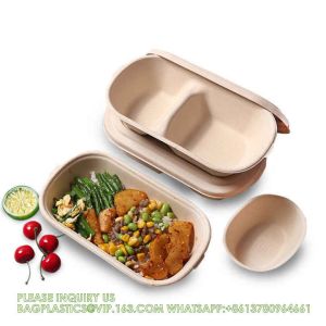 Wholesale Sugarcane Bagasse Pulp Lunch Box Takeaway Food Container Diaposiable