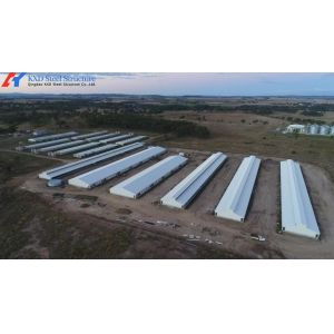 Customized Piggery Shed Steel Structure Animal Husbandry Green House