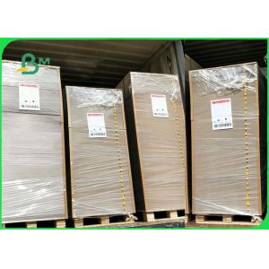 450gsm ISO Certified Clay Coated Kraft Back Food Grade Paper Roll / White Liner