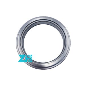 Buy cheap Upgrade your ride with premium hot selling 500005810 clutch bearings-smooth shifting,long lasting durability! from wholesalers