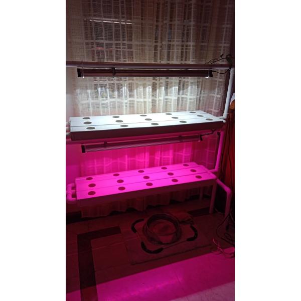 EDK 39W SMD2835 Table Top Grow Lights For Plants Greenhouse Mini Home