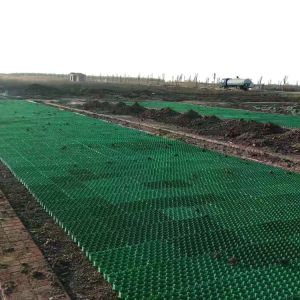 Buy cheap HDPE Black Green White Plastic Planting Grass Paver Grid for Parking Lot and Driveway from wholesalers