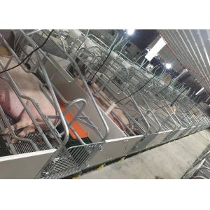 Buy cheap Hot Dip Galvanized Treatment Pig Farrowing Crate Farrowing Pen With Slat Flooring from wholesalers