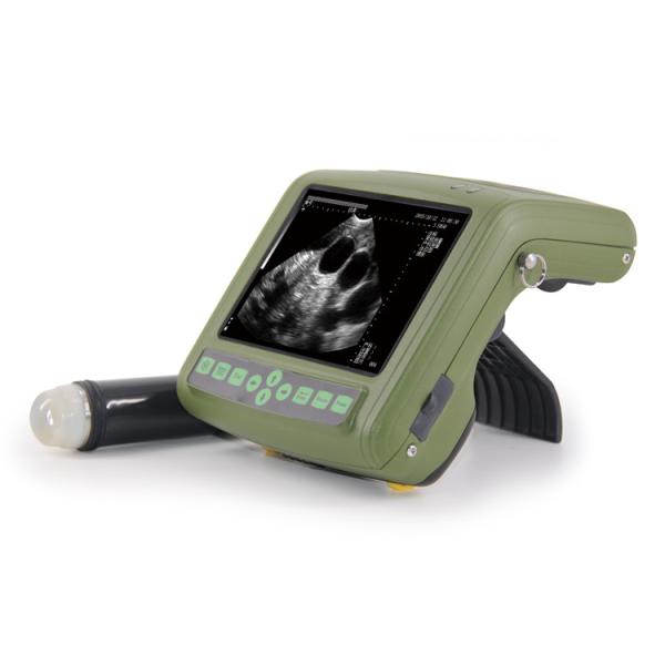 Quality B Mode Ultrasonic Medical Diagnostic Instruments MSU1 PLUS Portable Veterinary Ultrasound for sale
