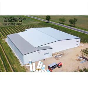 Buy cheap Rolling Door Steel Workshop for Cold Storage Shed Warehouse Construction Projects from wholesalers