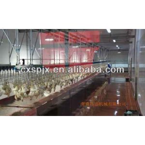 Buy cheap Customized Capacity Chicken Bleeding Line With Stainless Steel Slaughter Machine from wholesalers