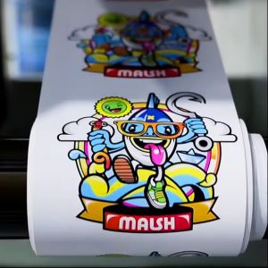 Single Pass Printing Machine Print For Corrugated Inkjet Custom Printed Pizza