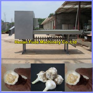 Buy cheap Garlic root cutting machine , dehydrated garlic chips processing machine from wholesalers